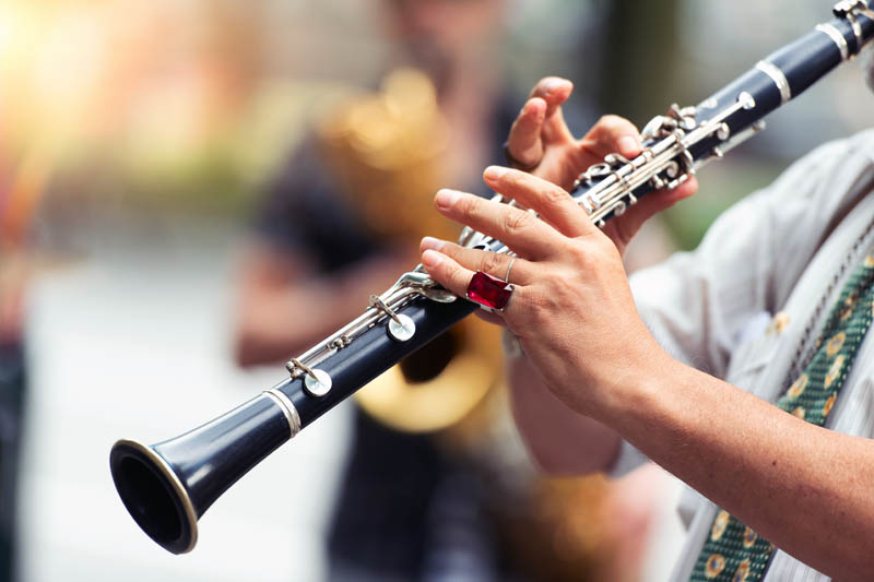 Wind Musical Instrument Lessons